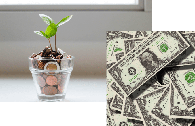 A glass of water with a plant in it and some money